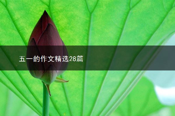 五一的作文精选28篇