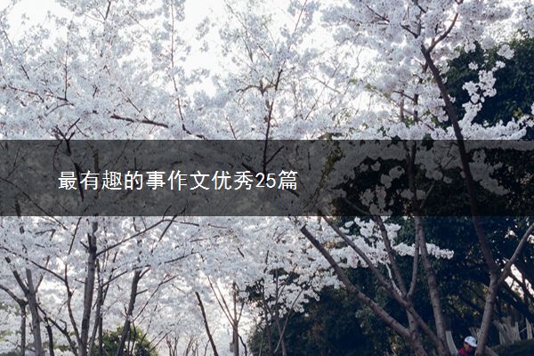 最有趣的事作文优秀25篇